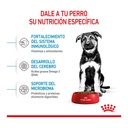 Royal Canin Maxi Puppy X15Kg – foto 2