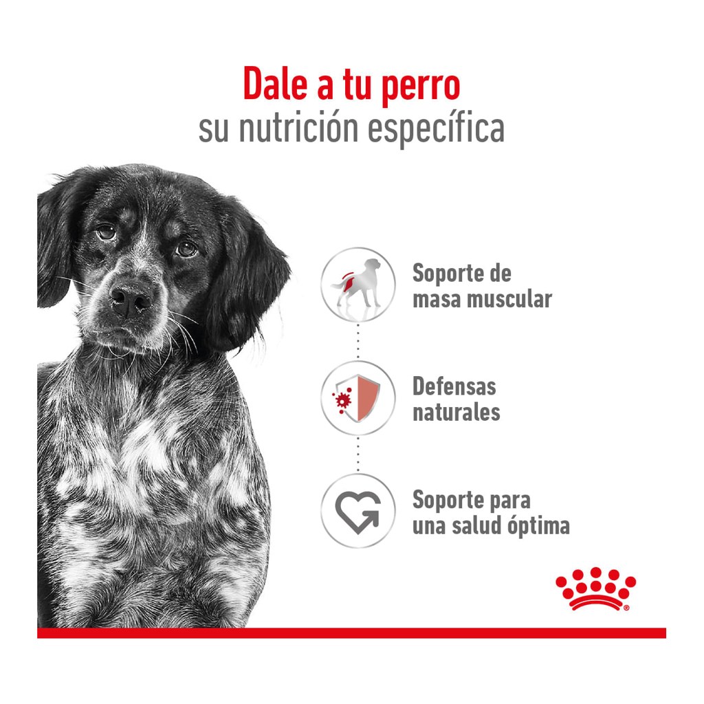 Royal Canin Medium Adult 15Kg – foto 2