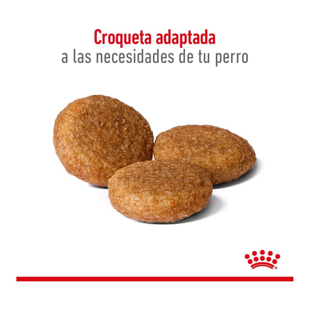 Royal Canin Medium Adult 15Kg – foto 3