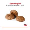 Royal Canin Medium Adult 7+ 3Kg – foto 3