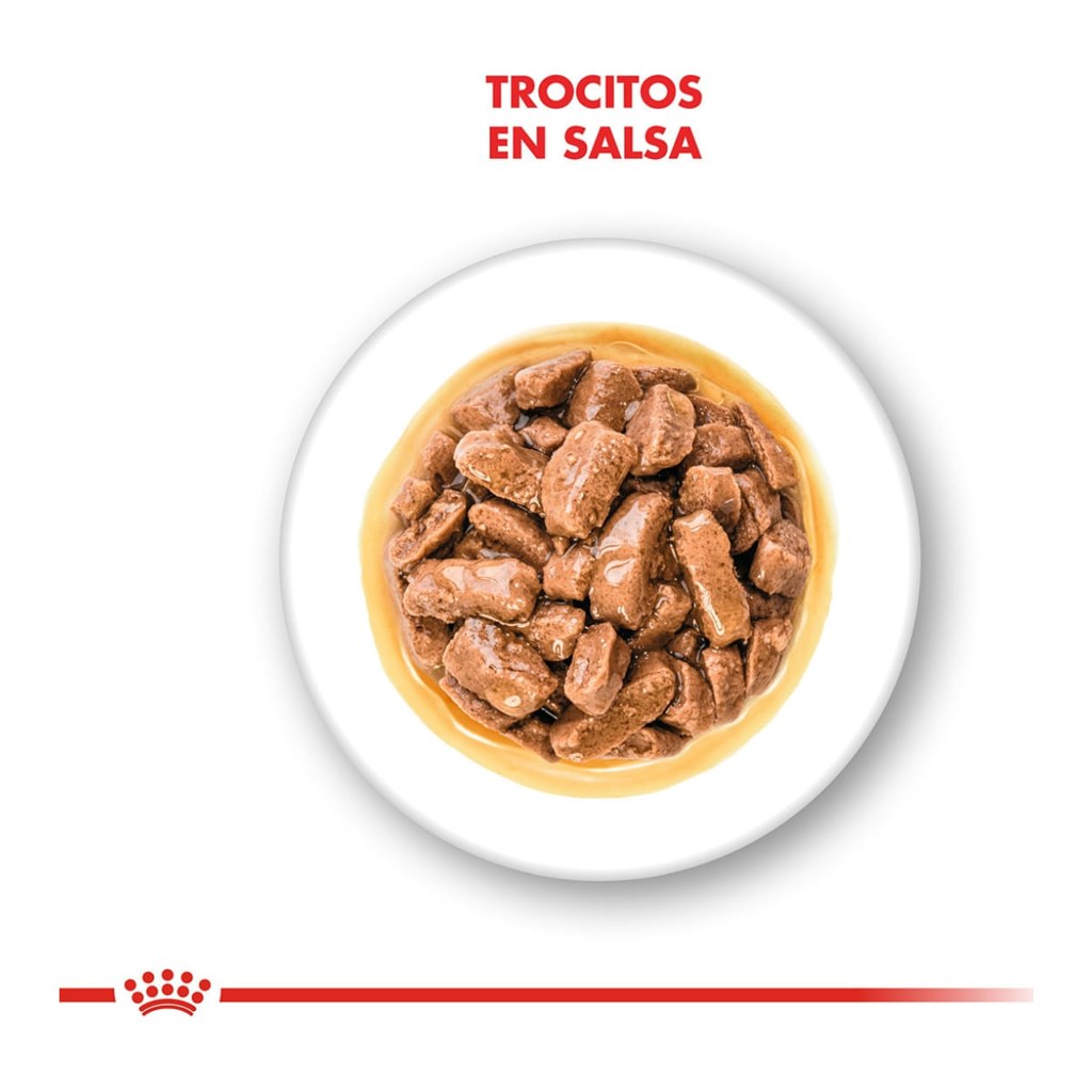 Royal Canin Medium Adulto Pouch x 140 Grs – foto 2