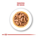Royal Canin Medium Adulto Pouch x 140 Grs – foto 2