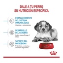 Royal Canin Medium Puppy 1Kg – foto 2