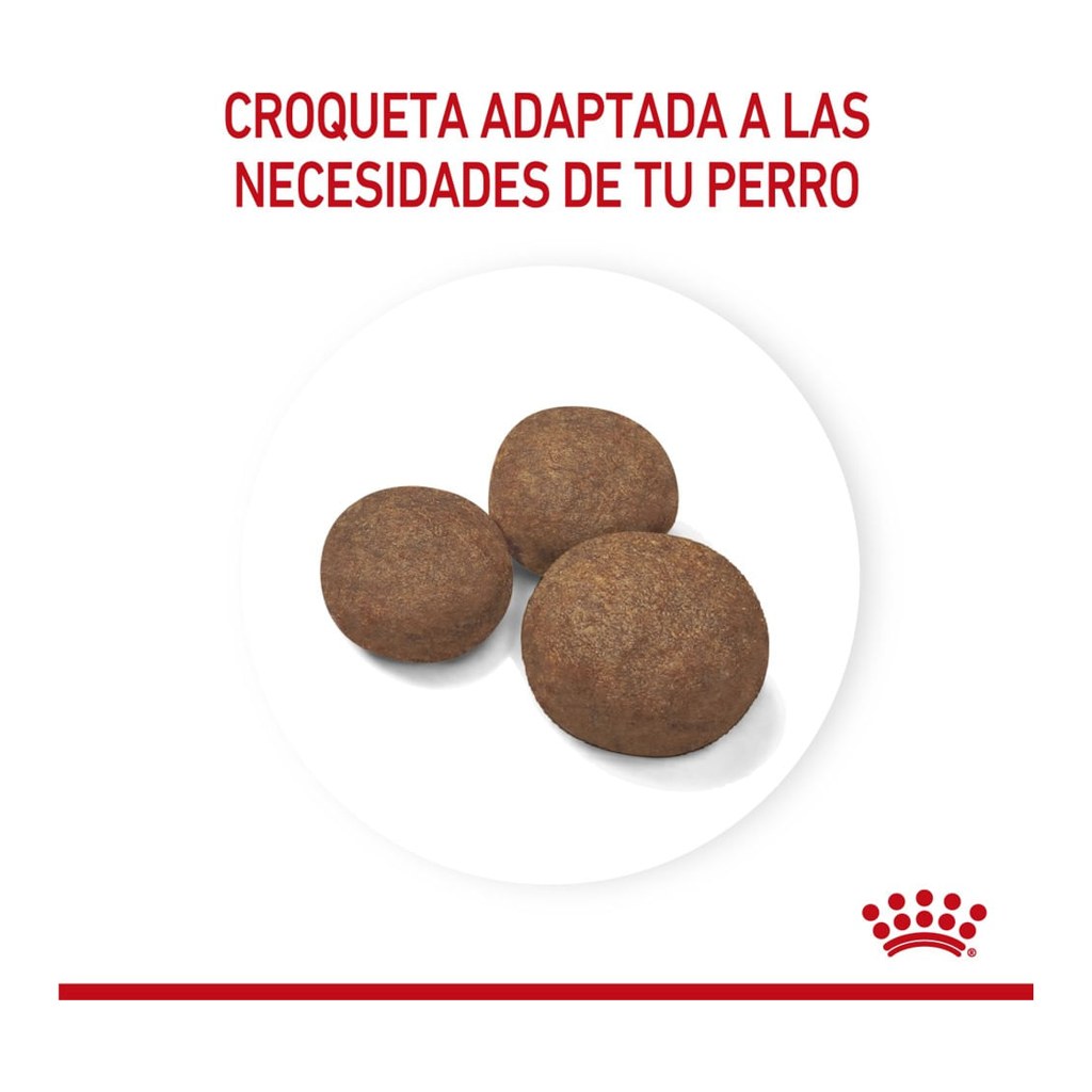 Royal Canin Medium Puppy 1Kg – foto 3