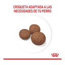 Royal Canin Medium Puppy 3Kg – foto 3