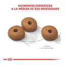 Royal Canin Medium Weight Care 10Kg – foto 2