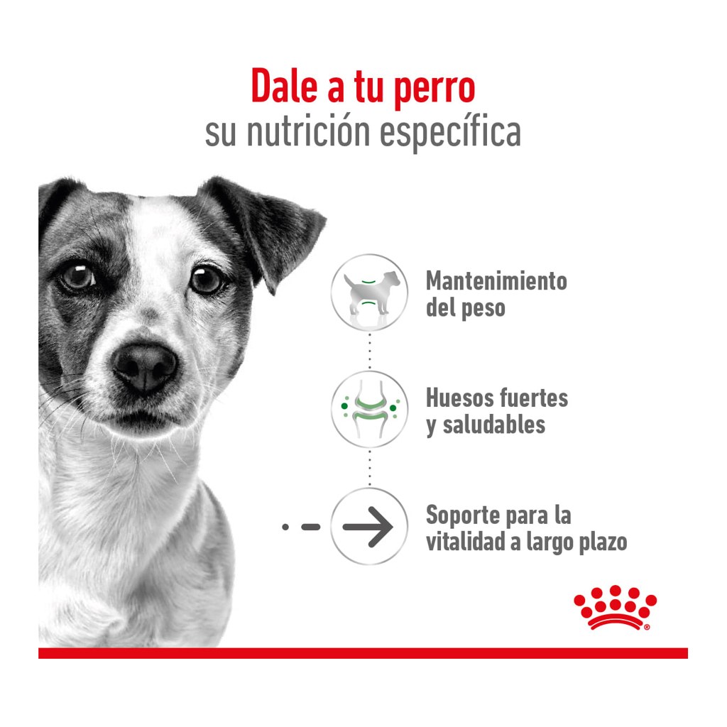 Royal Canin Mini Ageing 12+ 3Kg – foto 2