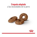 Royal Canin Mini Ageing 12+ 3Kg – foto 3