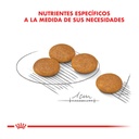 Royal Canin Mini Dermacomfort 1Kg – foto 2