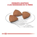 Royal Canin Mini Indoor 1Kg – foto 3