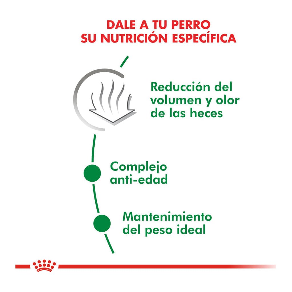 Royal Canin Mini Indoor 3Kg – foto 2