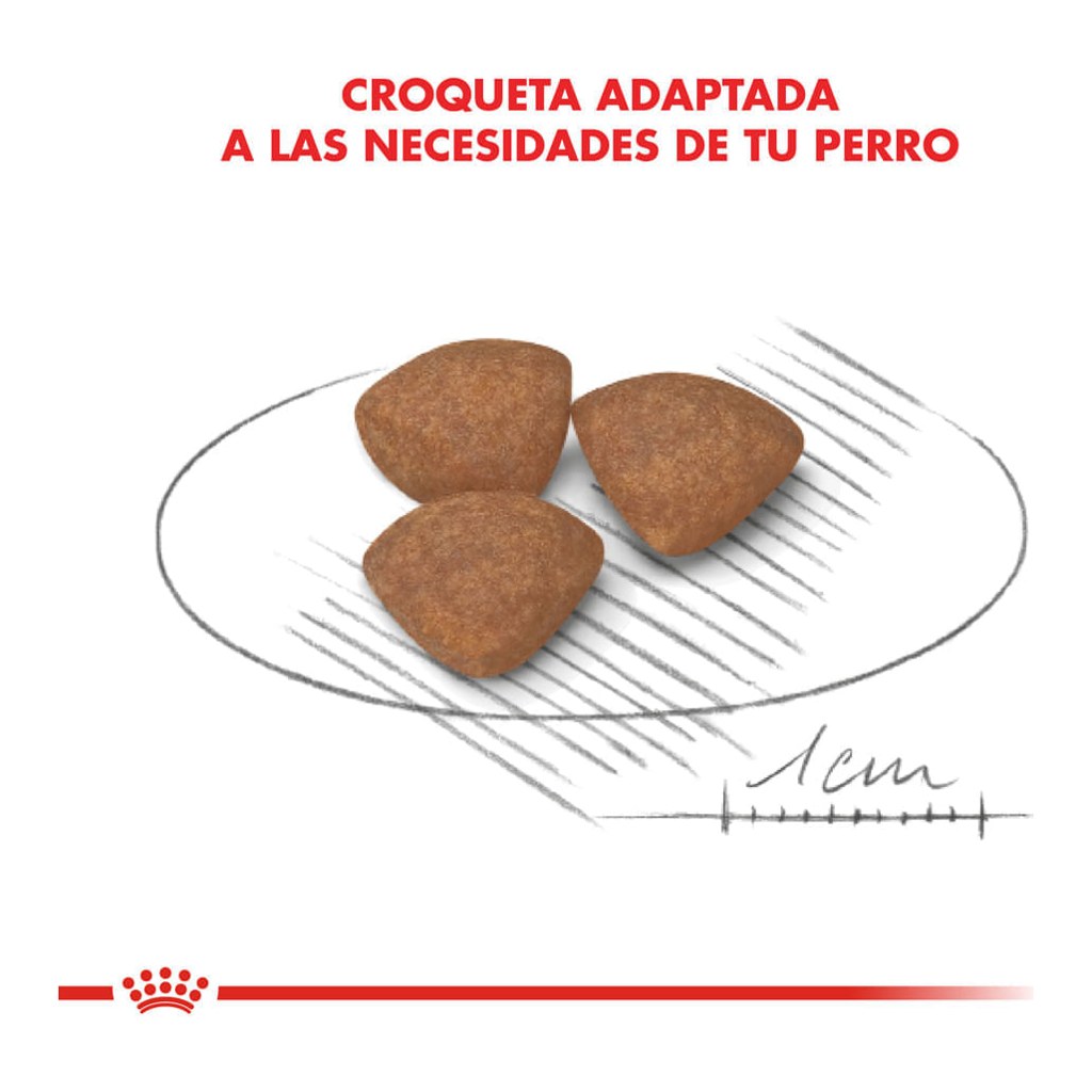 Royal Canin Mini Puppy 15Kg – foto 4