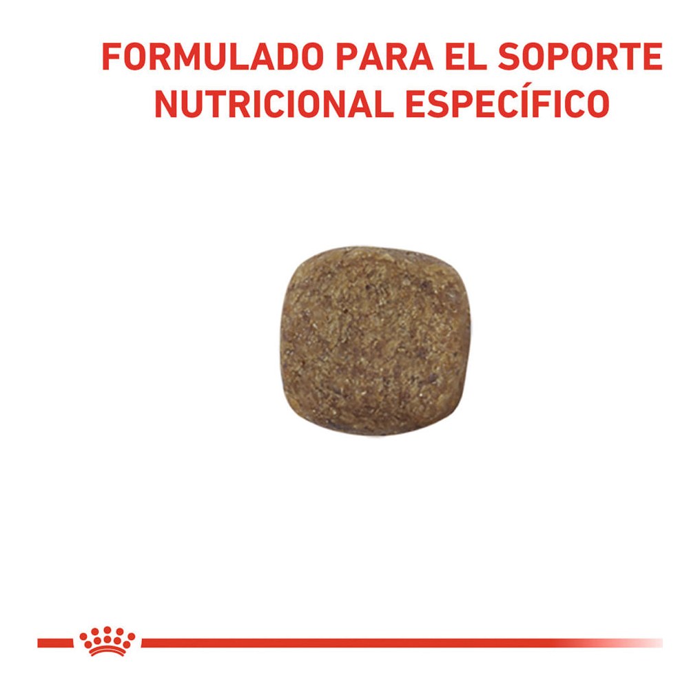 Royal Canin Mobility Support X10Kg – foto 3