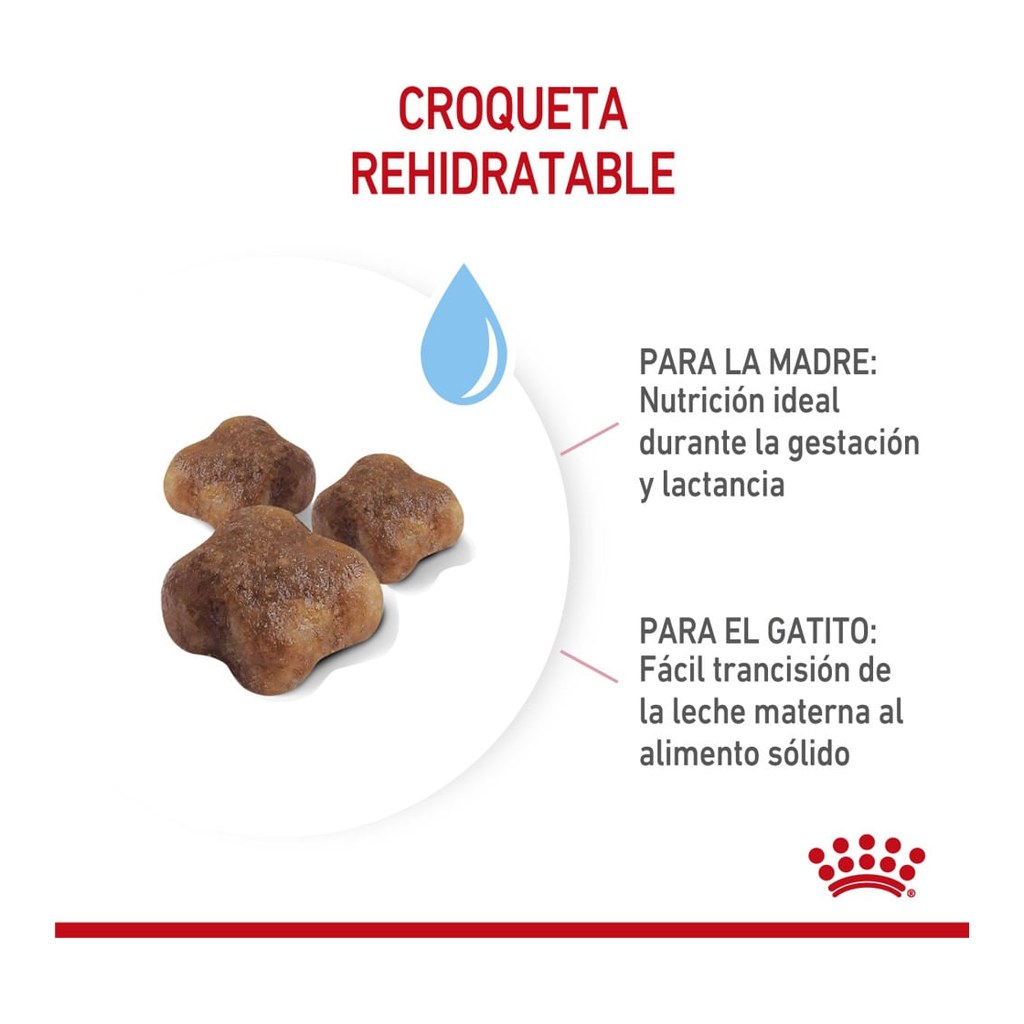 Royal Canin Mother & Baby Cat X 1,5 Kg – foto 2