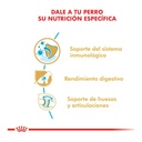 Royal Canin Ovejero Aleman Puppy X 12K – foto 2