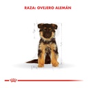 Royal Canin Ovejero Aleman Puppy X 12K – foto 3