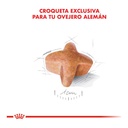 Royal Canin Ovejero Alemán Adulto 12Kg – foto 3