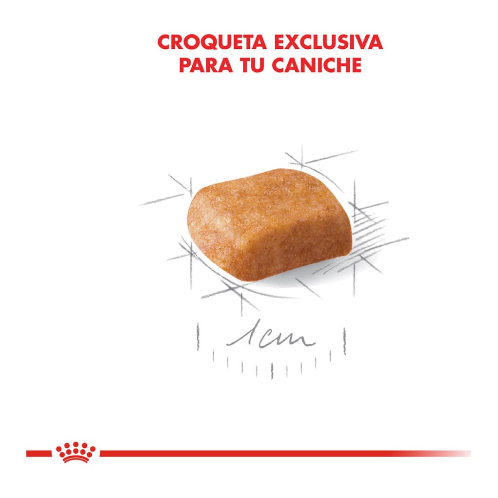 Royal Canin Poodle Puppy X 3Kg – foto 2