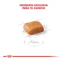 Royal Canin Poodle Puppy X 3Kg – foto 2