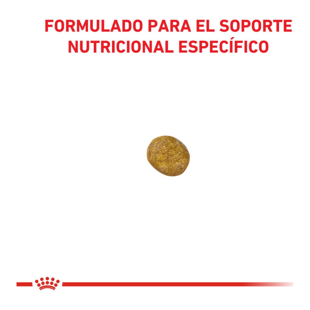 Royal Canin RENAL FELINE 2Kg – foto 2