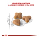 Royal Canin Sensible 1,5Kg – foto 2