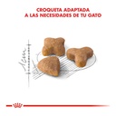 Royal Canin Sensible 400Gr – foto 2