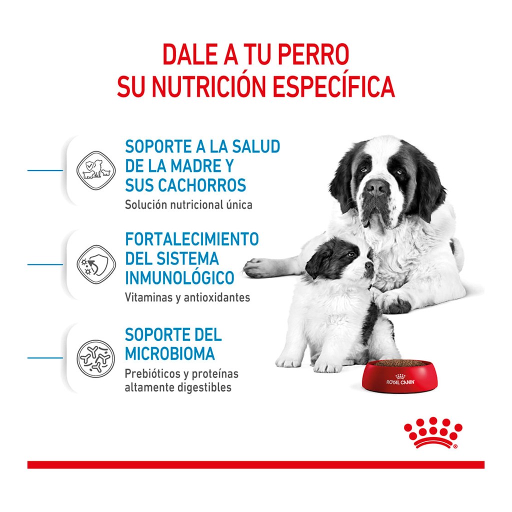 Royal Canin Starter Giant 10Kg – foto 2