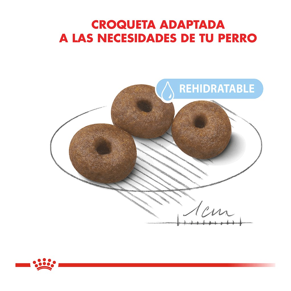 Royal Canin Starter Giant 10Kg – foto 3