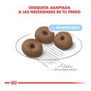 Royal Canin Starter Giant 10Kg – foto 3
