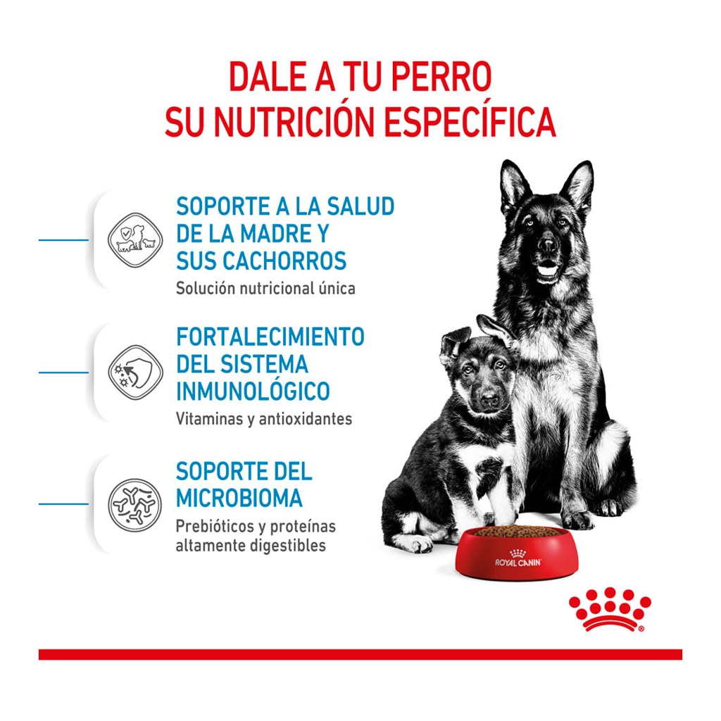Royal Canin Starter Maxi 10Kg – foto 2