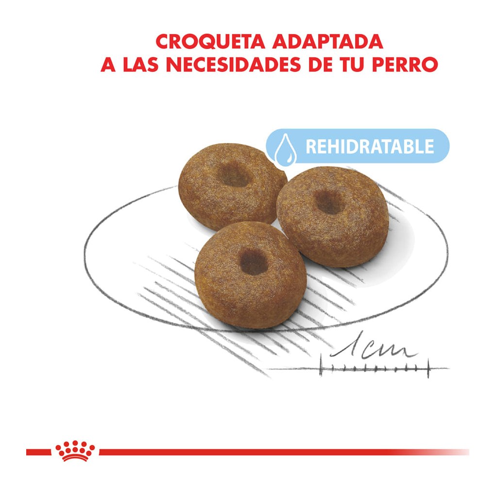 Royal Canin Starter Maxi 10Kg – foto 3