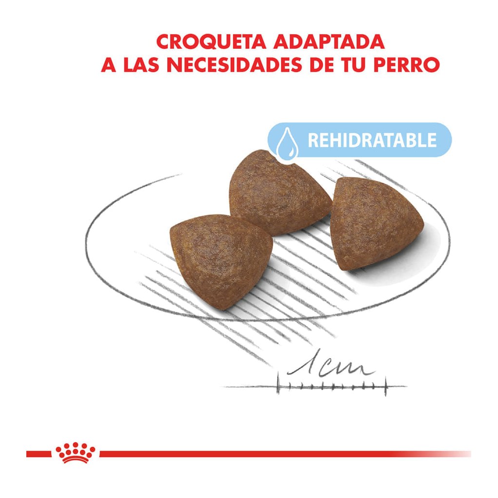 Royal Canin Starter Medium 3Kg – foto 3