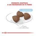 Royal Canin Starter Medium 3Kg – foto 3