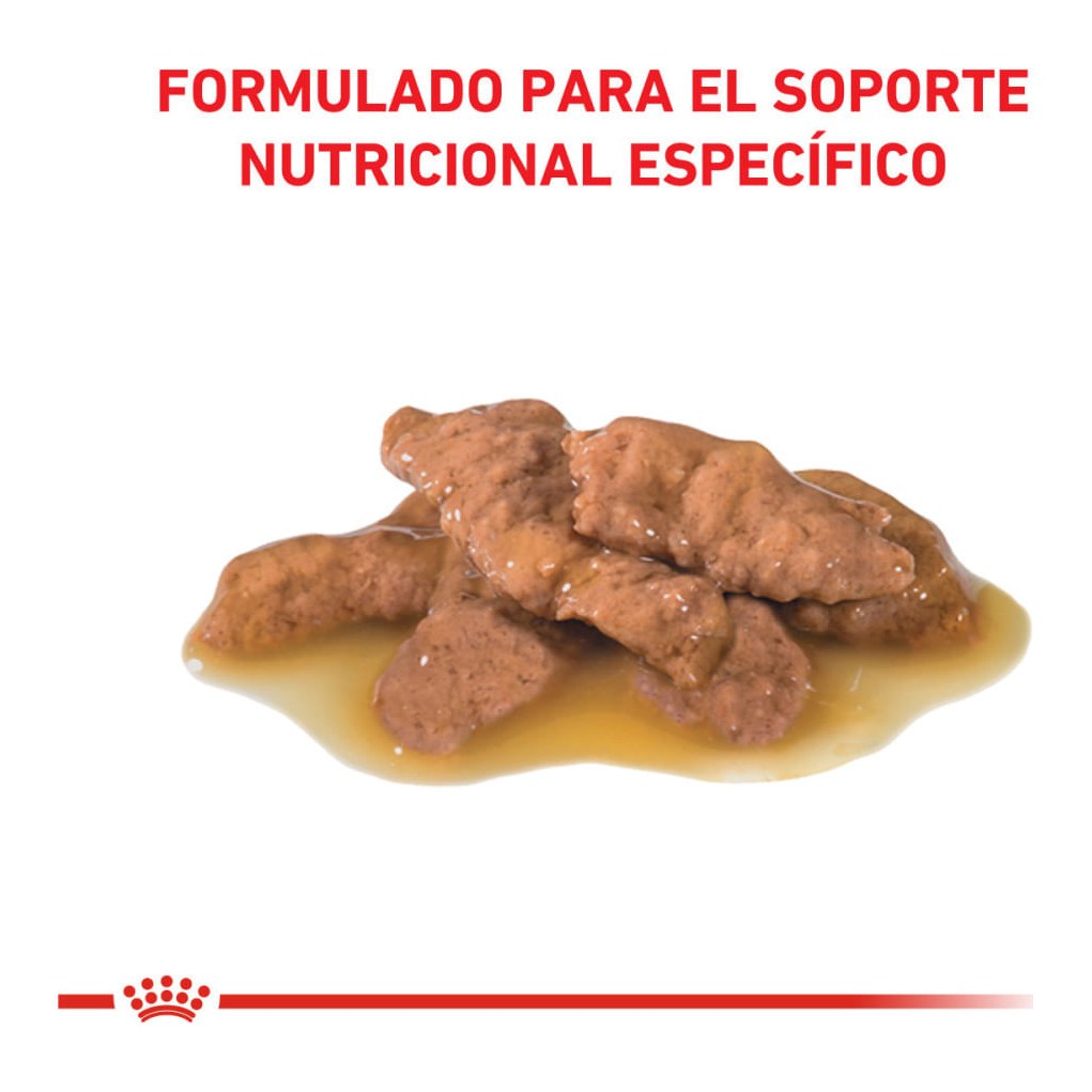Royal Canin Urinary S/O Pouch 85Gr – foto 2