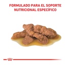 Royal Canin Urinary S/O Pouch 85Gr – foto 2
