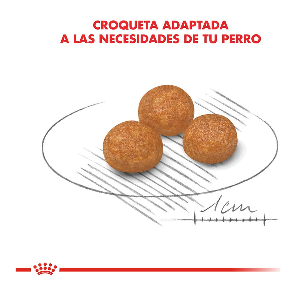 Royal Canin X- Small Adulto 1Kg – foto 3