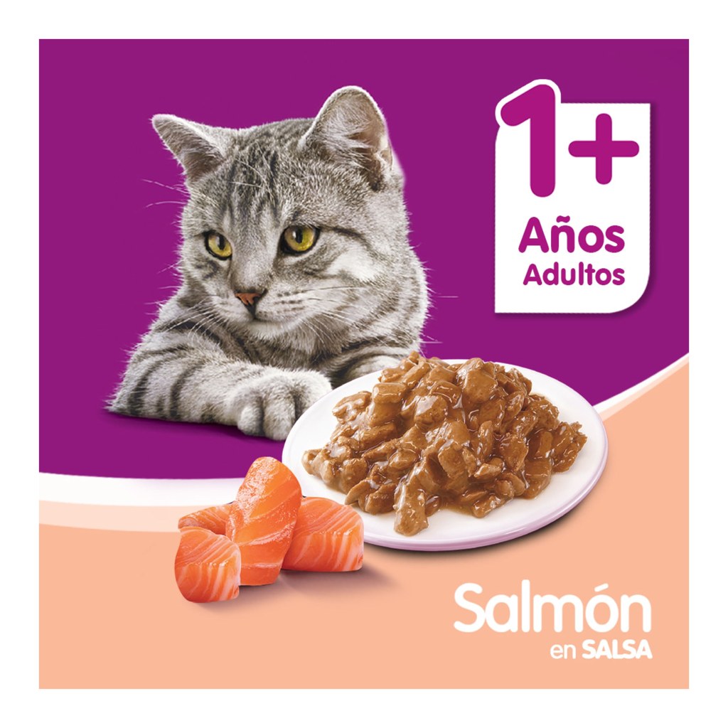 Whiskas Adulto Salmon Salsa 85Gr – foto 4