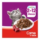 Whiskas Gatito Car Salsa 85Gr – foto 4