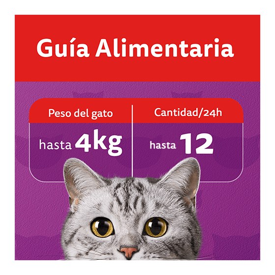 Whiskas Snack Carne 40Gr – foto 4
