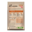 Balanced Perro Nat Recipe Corde X 3 – foto 2