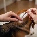 Cómo aplicar la pipeta: separar el pelo en la nuca y aplicar sobre la piel