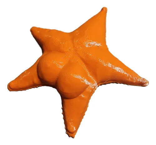 [ACU352] Adorno Estrella De Mar