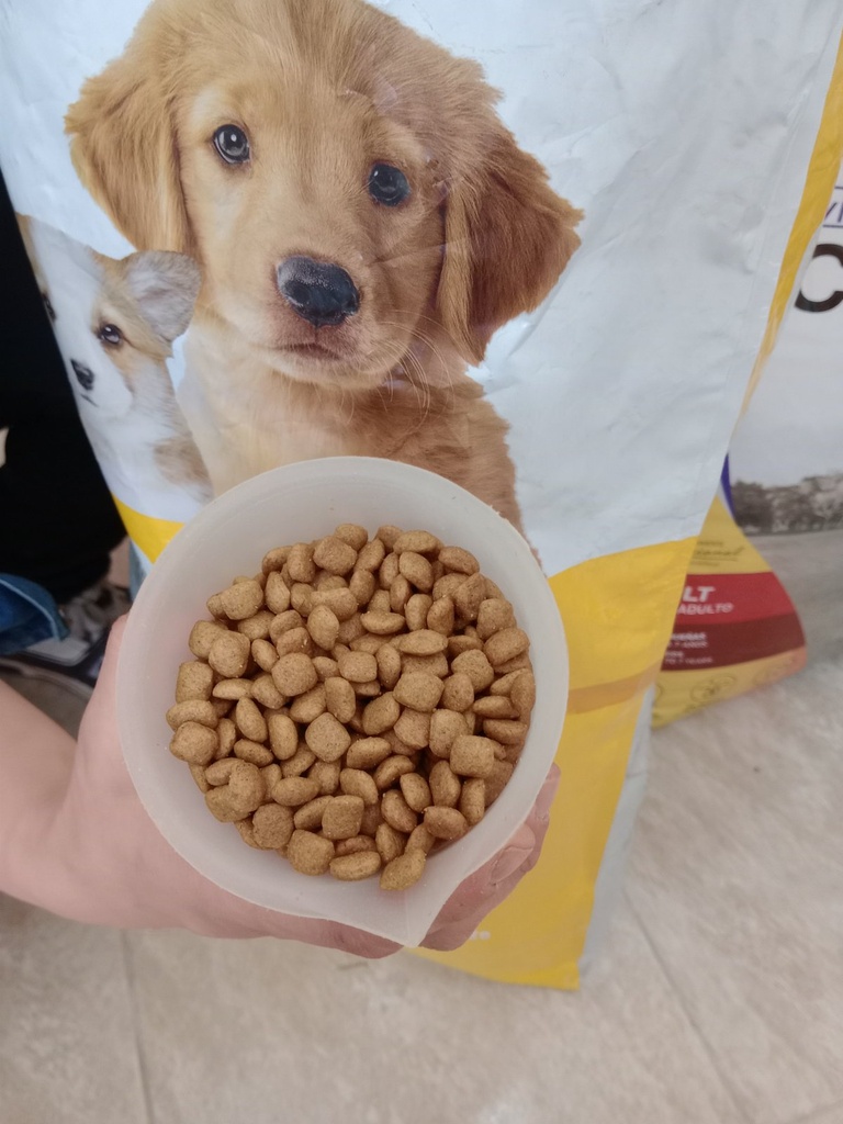 Maxxium Cachorros Suelto