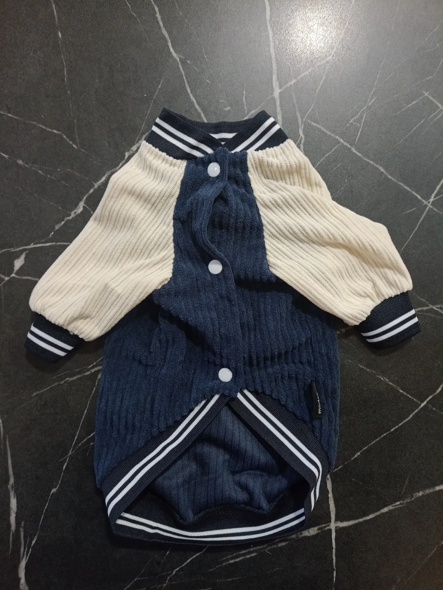 Campera Universitaria M