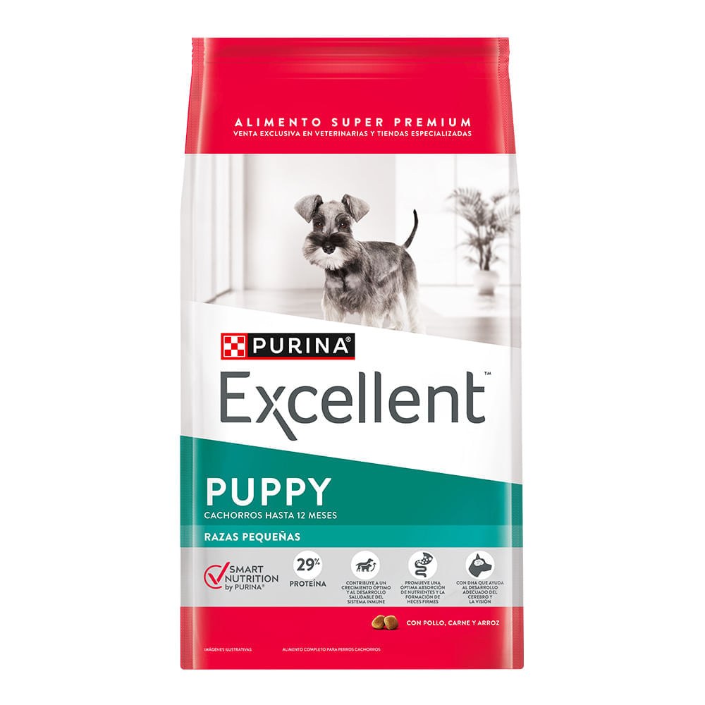 EXCELLENT Dog Puppy SB CH y R 3 Kg.
