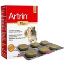 Artrin Plus Blister X 6 comprimidos