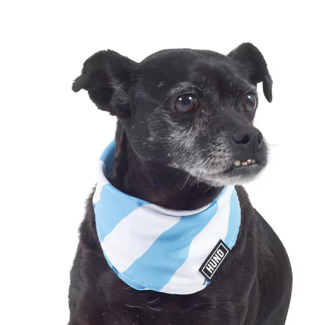 Bandana Argentina