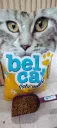 Belcat Suelto