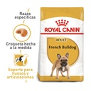 Royal Canin Bulldog Frances Adulto X 3Kg