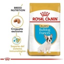 Royal Canin Bulldog Frances Puppy x1Kg